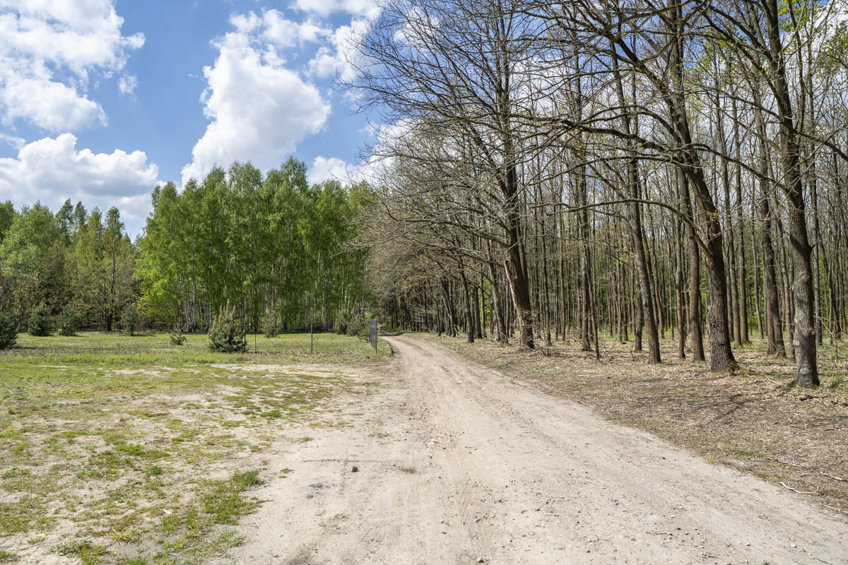Działka Sprzedaż Szymanówek