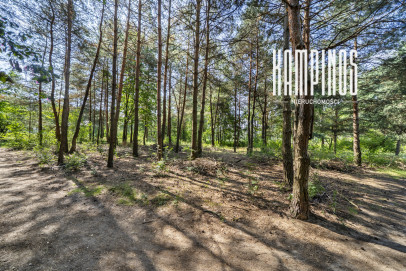 Działka Sprzedaż Hornówek