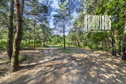 Działka Sprzedaż Hornówek