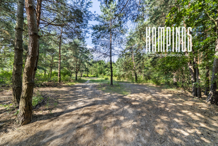 Działka Sprzedaż Hornówek 6