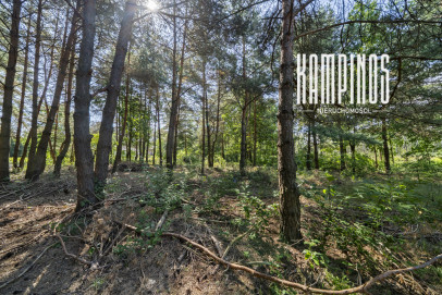 Działka Sprzedaż Hornówek