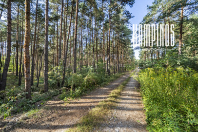 Działka Sprzedaż Hornówek