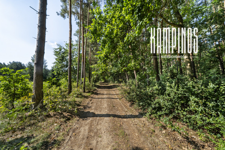 Działka Sprzedaż Hornówek 1