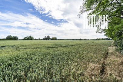 Działka Sprzedaż Prusy