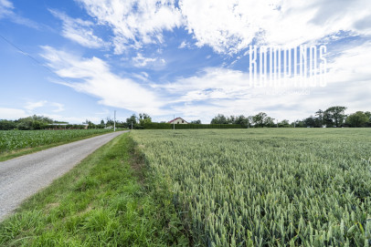 Działka Sprzedaż Prusy