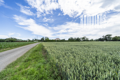 Działka Sprzedaż Prusy
