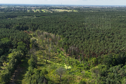 Działka Sprzedaż Hornówek Malinowa