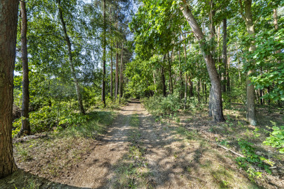 Działka Sprzedaż Hornówek Malinowa