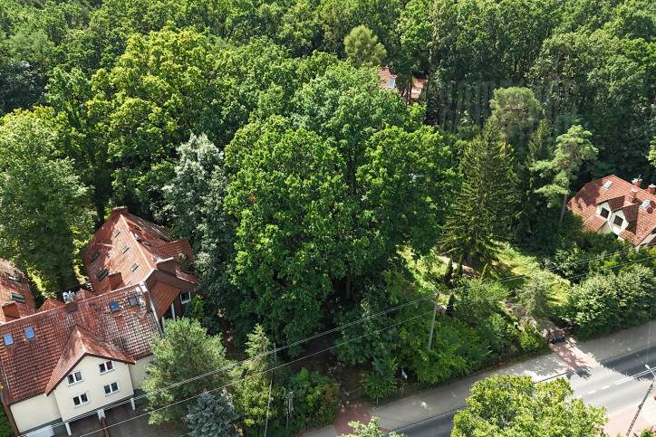 Działka Sprzedaż Izabelin B 7