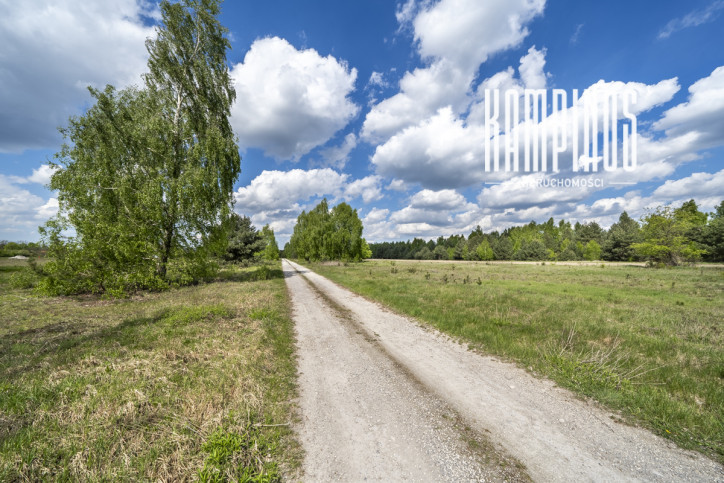 Działka Sprzedaż Korfowe 1