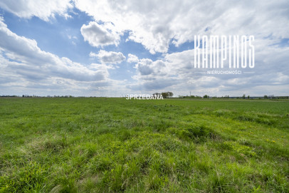 Działka Sprzedaż Podkampinos Niepokalanowska