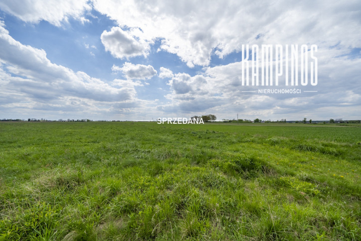 Działka Sprzedaż Podkampinos Niepokalanowska 1
