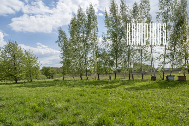 Działka Sprzedaż Kampinos A 1